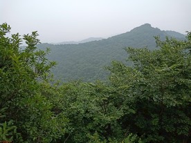 翠枫山