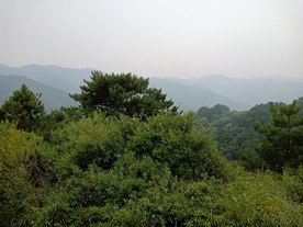 翠枫山