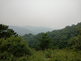 翠枫山