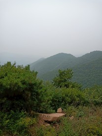 翠枫山