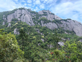 福鼎 太姥山 白茶发源地