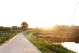 乡村小路