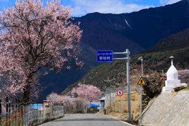 林芝桃花沟