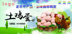 土鸡蛋海报