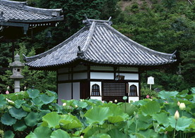 日本古建筑