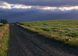 田野风光 道路风景