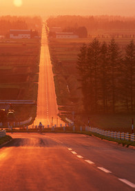 黄昏下的农村风景 道路风景