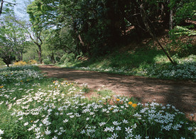 道路风景 风景摄影
