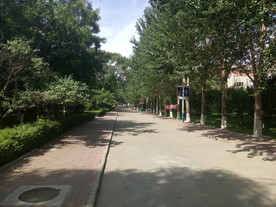 佳木斯大学通往实验楼的道路
