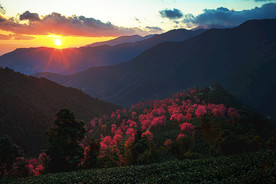 夕阳下的大山风光