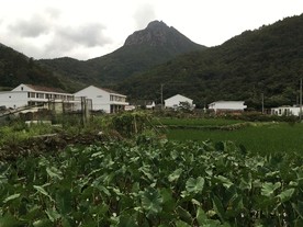 农村风景