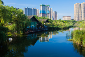 洋湖湿地公园
