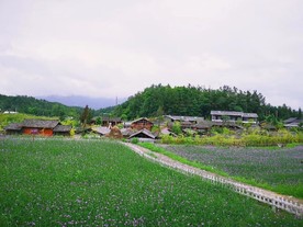 土家