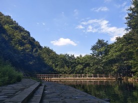蓝天白云绿树河水