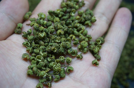 云南满泽昭通炎山花椒麻椒