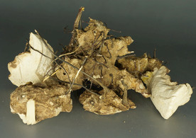 云南满泽无比加革