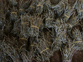 云南满泽铁皮石斛干条