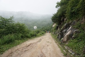深山里的风景