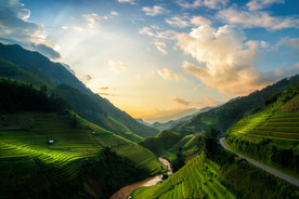 大山上绿油油的梯田