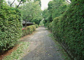 乡间道路