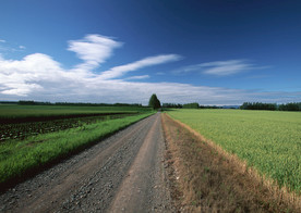 高原公路