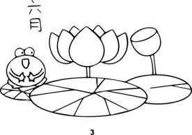 六月荷花