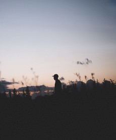 傍晚剪影