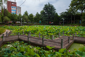 湖南农业大学