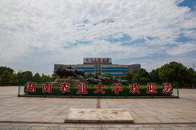 湖南农业大学