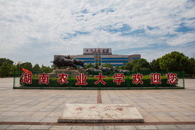 湖南农业大学