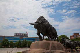湖南农业大学
