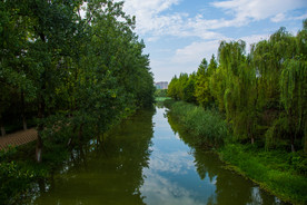 洋湖湿地公园