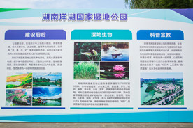 洋湖湿地公园