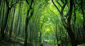 大自然风景  绿水青山