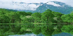 雪山
