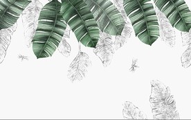 清新手绘素描芭蕉北欧墙面艺术背