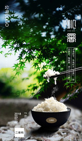 小暑