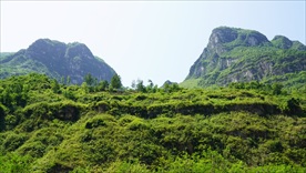 绿油油的大山