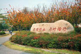 浙江财经大学 摄影 校园 风景