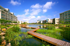 浙江财经大学 摄影 校园 风景