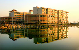 浙江财经大学 摄影 校园 风景