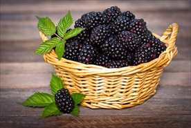 黑莓