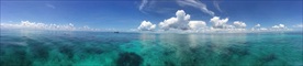 清澈透明大海全景图