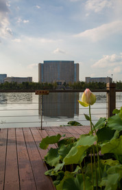 萍乡玉湖公园
