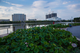 萍乡玉湖公园