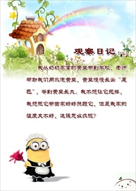 作文集