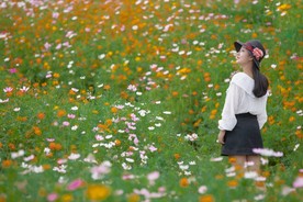 花海回眸