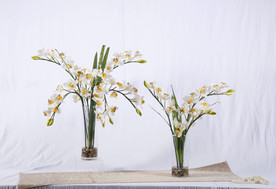 白色简约花