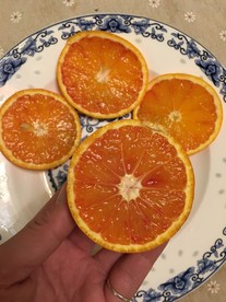血橙子 塔罗科血橙 血橙片