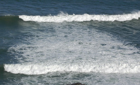 大海 浪花 海边 海浪 海水